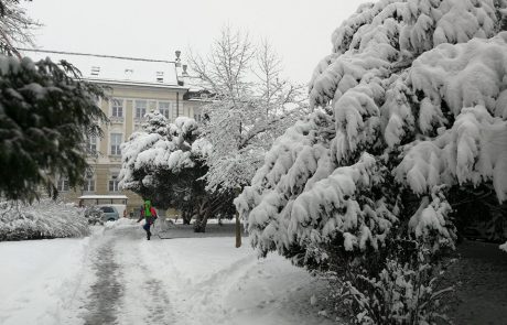 Danes bo oblačno, padavine bodo postopno oslabele