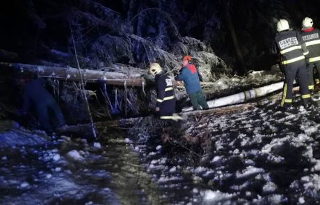 FOTO: Gasilci v okolici Maribora sinoči na delu zaradi podrtih dreves