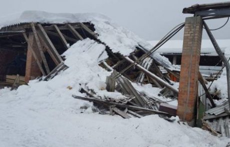 FOTO: Na žagi v Rušah zaradi snega kar 300.000 evrov škode