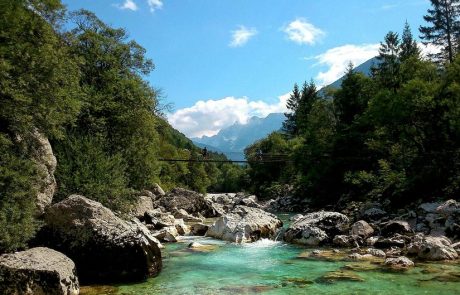 Za akvakulturo na voljo več kot 5,5 milijona evrov spodbud