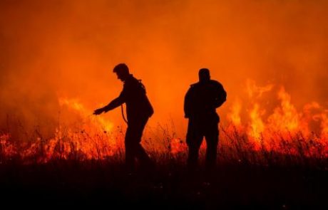 Požare v Dalmaciji podtikali ženske in moški, mladoletni in tudi 75-letnik …