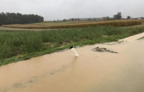 (FOTO) Poplavljata Ljubljanica in Krka, poplave tudi na Goričkem že poplave