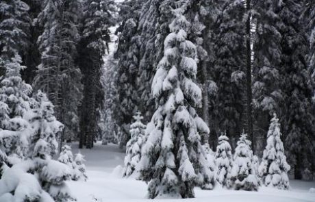 Slovenijo jutri čaka nova pošiljka snega, na Primorskem močna burja