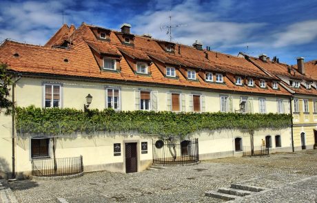 Južno in Severno Korejo uspešno povezala tudi najstarejša slovenska trta