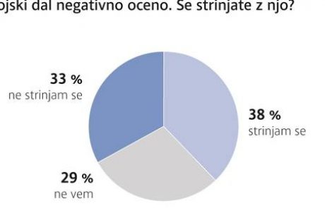 Anketa Dela: Slovenski vojski bi namenili več proračunskega denarja