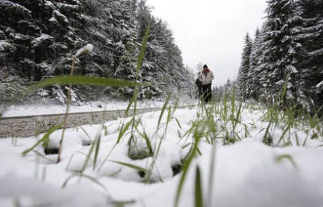 Ponekod na Gorenjskem sneži, temperature okrog ničle