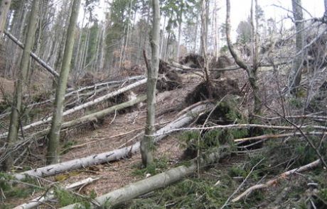 Vetrolom na območju občine Črna na Koroškem