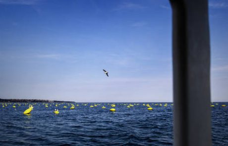 Kako bo arbitražno sodišče razsodilo o meji med Slovenijo in Hrvaško