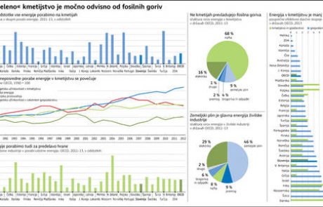 V pridelavi hrane je energetska učinkovitost trd oreh