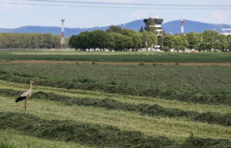 Magna bo morala čakati več mesecev