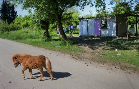 Strojani na sodišču zaradi kontejnerjev