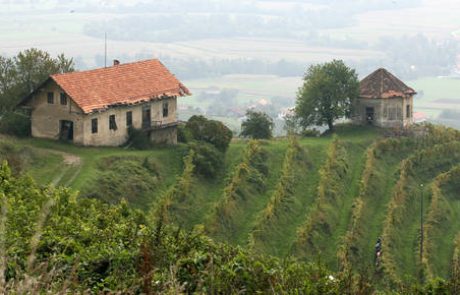 Grobar Vina Brežice si je še podaljšal zapor