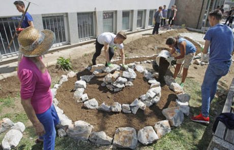 Jagode s šolske strehe so slajše od kupljenih