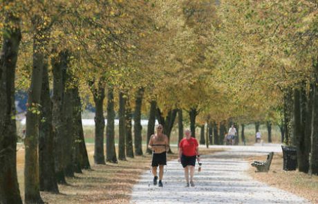 Krajinski park Tivoli, Rožnik in Šišenski hrib bo upravljala Snaga