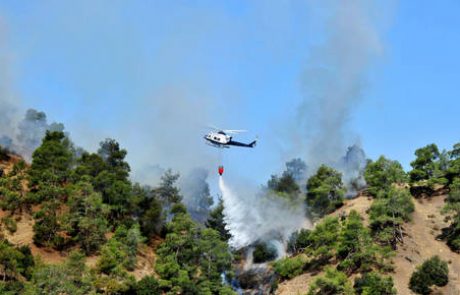 Po Cipru pustoši obsežen gozdni požar