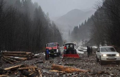 Vetroloma za tretjino letnega poseka