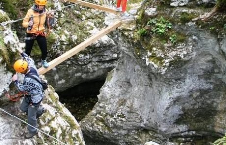 Po Srnici se bodo lahko preganjale tudi družine