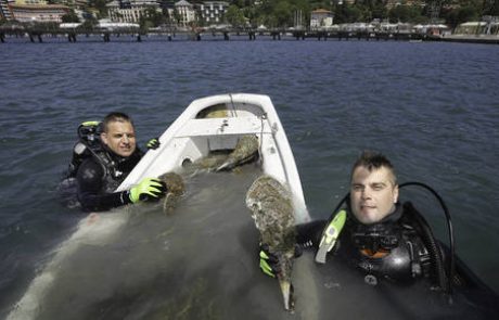 Leščurji vračajo udarec, človek pa z njimi nežno