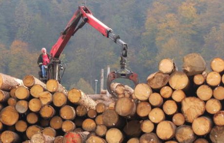 Podvojili bodo žagarske kapacitete