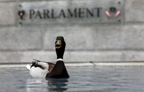 Črno piko dobi … državni zbor