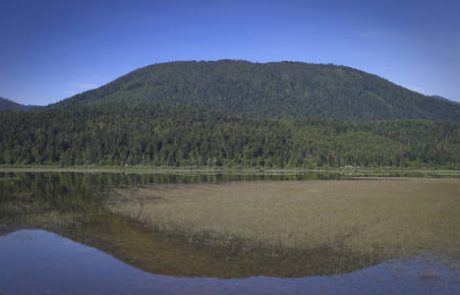 Nekateri bi ribe, drugi bi kmetijske subvencije. A tako ne more iti v nedogled