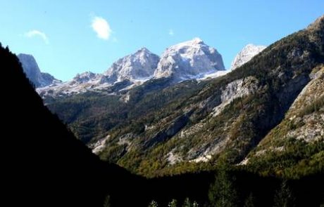 Od Majcnove pričakujejo spoštovanje sveta zavoda