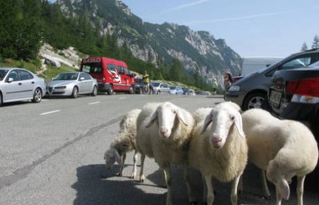 Cesta čez Vršič v prihodnjih dneh delno in popolnoma zaprta