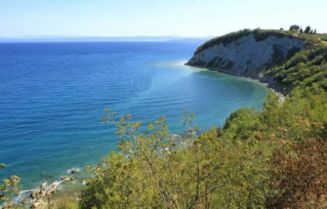 Park bo vodil začasni direktor brez podpore