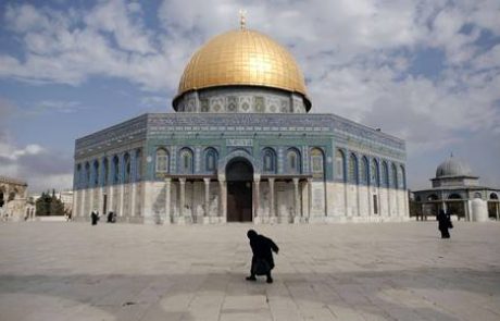 Vlada bo nadaljevala postopek priznanja Palestine