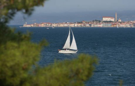 Uresničitev arbitraže bo zahtevala veliko dela