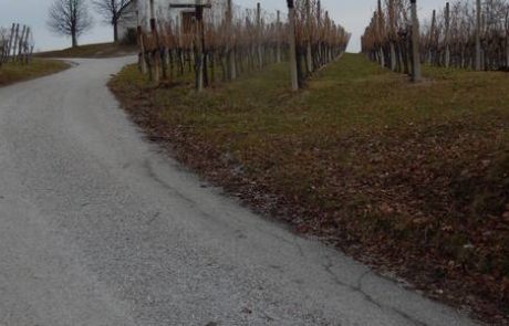 Zamočilo ministrstvo, ne Bistrica ob Sotli