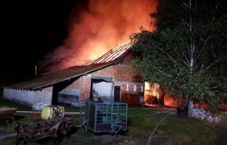 (FOTO) V požaru v Radvencih poškodovan gasilec, zgorelo več prašičev