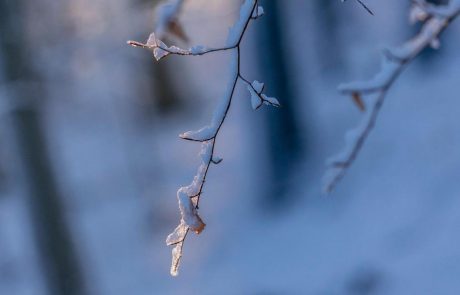 Nova pošiljka snega, nato polarne temperature