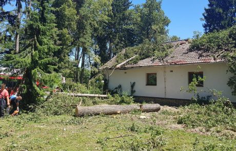 Po neurju, kot ga ne pomnijo, bo mariborski botanični vrt jeseni spet odprt za obiskovalce