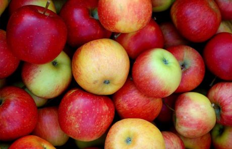 6 razlogov, zakaj bi moral vsak dan jesti jabolka