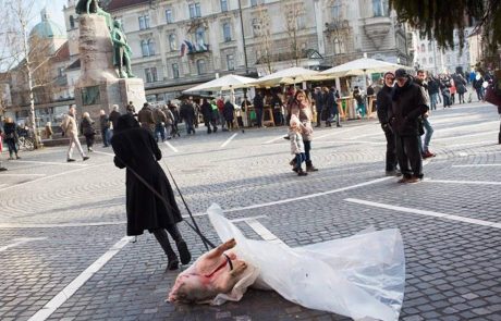 Za vlečenje prašiča po ljubljanskih ulicah ji policija ni napisala kazni