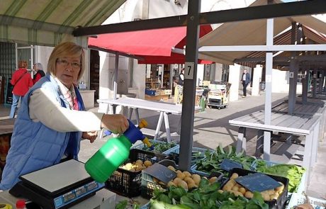 Branjevke si želijo strehe nad koprsko tržnico