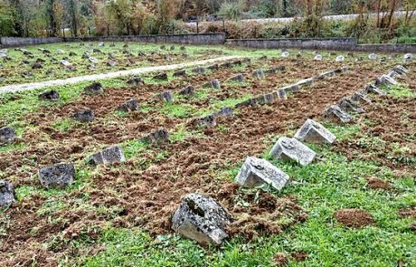 Divji prašiči razdejali vojaško pokopališče