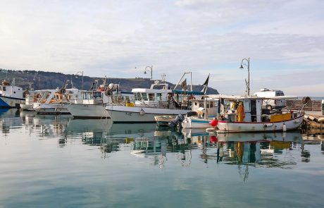 Kdo bo nasledil ribiško svetovalko Snežano Levstik?