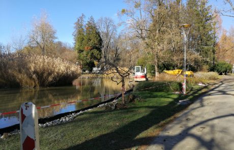 FOTO: Ureja se okolica prvega ribnika v Mestnem parku Maribor