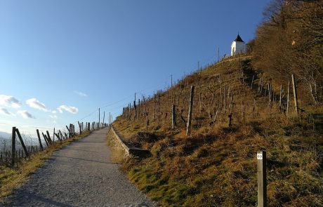 Čaka nas sončen dan s prijetnimi temperaturami