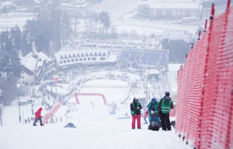 Zlata lisica ostaja na Mariborskem Pohorju