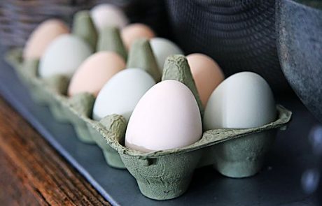 Jajčni izdelki s fipronilom tudi v Sloveniji