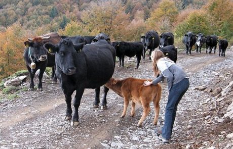 Radi bi podaljšali sezono