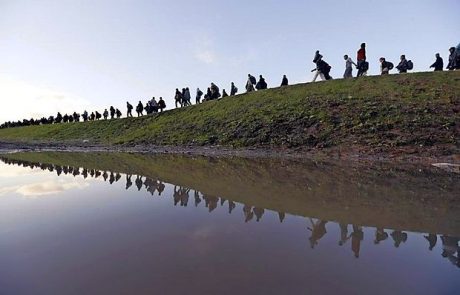 Med Pulitzerjevimi nagrajenci tudi slovenski fotograf Živulović