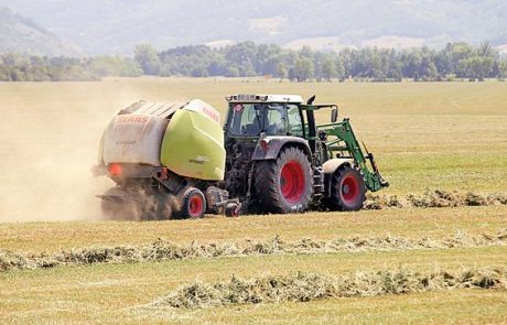 Zaradi suše pozimi ne bo krme