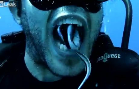 VIDEO: Zobe so mu očistile ribe!