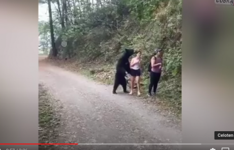Dih jemajoči posnetek: Medved se je pojavil za dekletom, ki je z njim posnelo selfie
