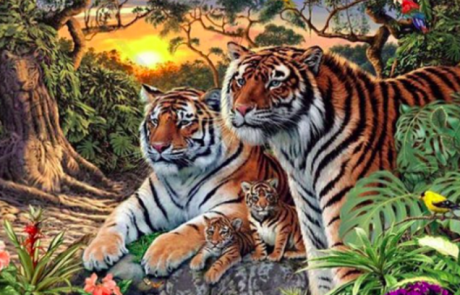 Uganka, ki je marsikoga zmedla: Koliko tigrov lahko najdete na fotografiji?