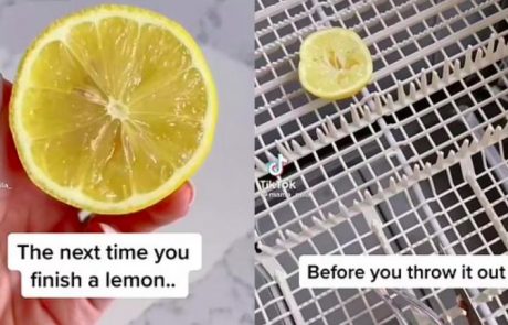 Poglejte, kaj se zgodi, če daste v pomivalni stroj pol limone